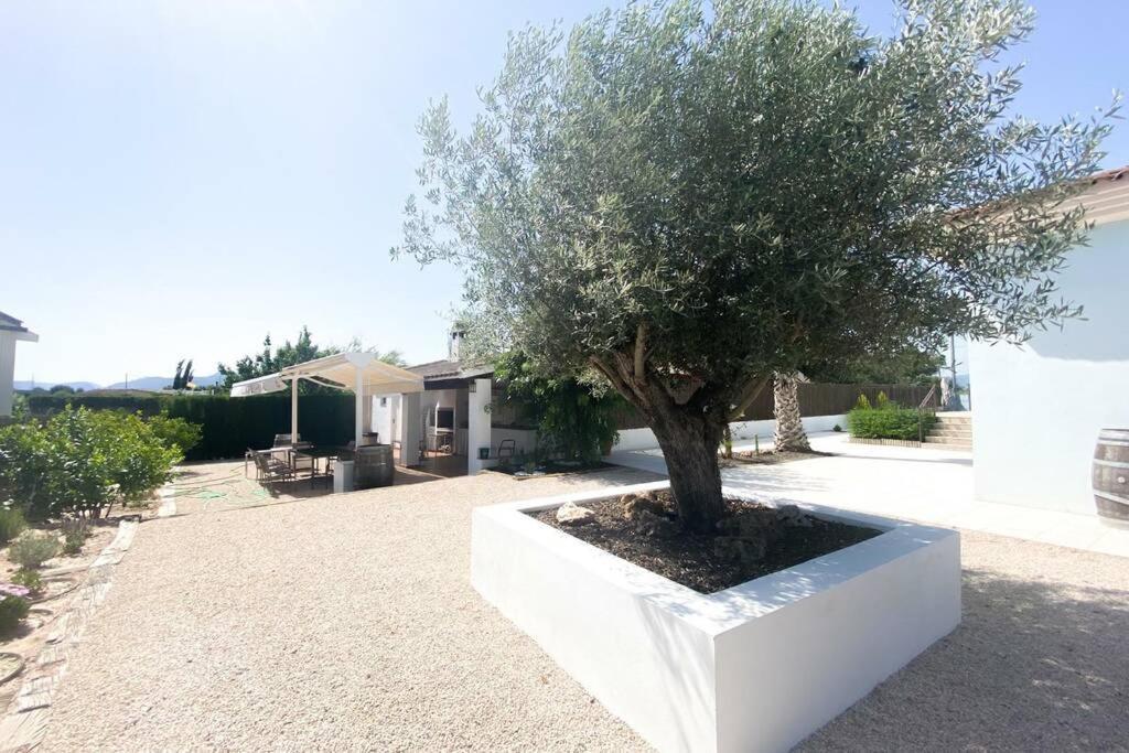 Relax En La Huerta De מורסיה מראה חיצוני תמונה