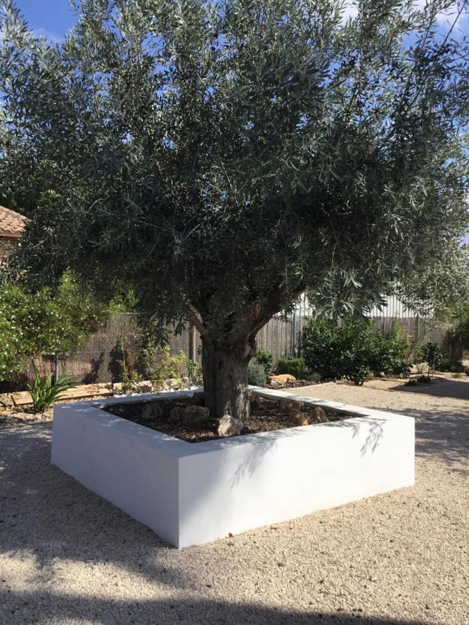 Relax En La Huerta De מורסיה מראה חיצוני תמונה
